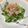 miyu✩‧₊˚'s cooksnap of when they made カイワレ大根のおひたし.