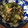 りおなさらら's cooksnap of when they made もずく和え.
