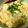 ゆか＊みく's cooksnap of when they made コストコの湯葉でどんぶり.