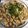 タクミスキー's cooksnap of when they made サバおろしぶっかけ蕎麦.