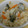 こゆみママ's cooksnap of when they made ★ぷりっぷり♪牡蠣 de 炊き込みご飯★.