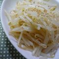 みかぱちこ's cooksnap of when they made 焼肉屋さんの♬もやしナムル.