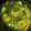 ずっこけ123's cooksnap of when they made とろりん♪ちんげん菜とカニ缶のスープ.