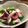 ホームセンター's cooksnap of when they made タコとキュウリのナムル風.