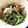 megmeg616's cooksnap of when they made 簡単！水菜とあさりの酒蒸し.
