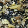 ですサイ's cooksnap of when they made 牛肉とひじきのじゃがコク炒め♪.