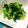 ﾊﾞﾀﾞｷﾞﾆ's cooksnap of when they made からしあえ.