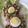 Yokchina's cooksnap of when they made チェコ風ハムと野菜のゼリー寄せ.