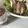みずいろ号's cooksnap of when they made 驚くほどしっとり柔らか！ハーブチキン.