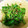 クックTO8BWS☆'s cooksnap of when they made とっても簡単♪ピーマンのおかか炒め.