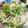 低カロ探検隊's cooksnap of when they made 簡単★糸蒟蒻（白滝）のピーマン炒め.