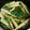 なるこ426113☆'s cooksnap of when they made たけのこと水菜の煮物♪.