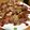 Sa〜ちゃん's cooksnap of when they made えのきベーコン巻き.