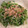 スキピオ's cooksnap of when they made 豆苗と釜揚げしらすのおひたし.