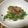 かみがきしげみ's cooksnap of when they made カイワレ大根のおひたし.
