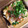 ＊ＡＫＯＲＩ＊'s cooksnap of when they made 早いょ！厚揚げでもう１品/トースター調理.