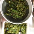かなハル's cooksnap of when they made ワラビのアク抜き&お浸し.