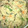 lalala11's cooksnap of when they made いくらでも食べれちゃう♪おからの煮物.