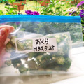 ハッピーみっけ♪'s cooksnap of when they made おくらの長期保存.