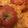 クックDL16RQ☆'s cooksnap of when they made トマト丸ごとチーズクリームグラタン.