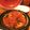 YLanson's cooksnap of when they made トマトと鶏肉のタジン鍋.