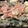 UmEcO07's cooksnap of when they made ゆで卵と人参・いんげんのマヨサラダ.