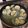 みずぽん♪'s cooksnap of when they made 安い！☆ホンビノス貝のワイン蒸し☆.