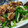 クックY04EMJ☆'s cooksnap of when they made ピーマンとしめじの薄上げおかか和え.