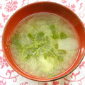 がっしゅまま's cooksnap of when they made きのこと豆苗のお味噌汁.
