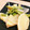 nao♡nao's cooksnap of when they made 【10分で出来る♪】新筍と大根の煮物.
