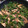 リエル2005's cooksnap of when they made ピーマンの佃煮風.