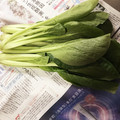 サクラ21's cooksnap of when they made ★ズボラ必見★ほうれん草小松菜の簡単保存.