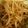 ☆mimicco☆'s cooksnap of when they made レンジで☆もやしナムル♪.