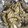 クックNWK8V8☆'s cooksnap of when they made 速攻！きのこだけのあっさりホイル焼き.