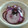 mayuyuキッチン's cooksnap of when they made 赤蕪と塩昆布のピクルス.