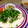 虎鉄の姉's cooksnap of when they made 簡単！炊飯器で カオマンガイ.