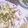 tomoyo1023's cooksnap of when they made さっぱり★なすと豚しゃぶの冷たいそうめん.