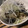 ぷんしゅ's cooksnap of when they made しょうが風味♪茄子と豚肉のめんつゆ浸し.