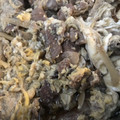 まおるん's cooksnap of when they made ごぼうと牛肉の柳川風☆簡単においしく☆.