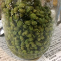 クックEORLBR☆'s cooksnap of when they made 山椒の塩漬け.