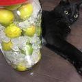 アッコ826's cooksnap of when they made 簡単！　梅ジュースの作り方.