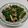 sumileママ's cooksnap of when they made サラダ菜としめじのスタミナ炒め♡.