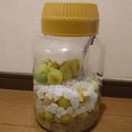 瑠依子's cooksnap of when they made 我が家の♥自家製はちみつ梅シロップ.