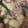 mamehana94's cooksnap of when they made 母の味！！＊じゃが芋の煮ころがし＊.
