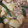 mamehana94's cooksnap of when they made 母の味！！＊じゃが芋の煮ころがし＊.
