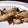 nenona's cooksnap of when they made おかかエリンギのバター醤油.