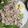 blue_apron's cooksnap of when they made 2分！サラダ菜の豚しゃぶ.