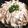 まぁ☆☆★'s cooksnap of when they made 重ねるだけ！ヘルシー豚もやし蒸し♪.