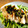 ★cocoa★'s cooksnap of when they made ネギたっぷりよだれ鶏.
