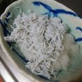 みーちゃん86's cooksnap of when they made 火を使わない副菜！しらすおろしポン酢.